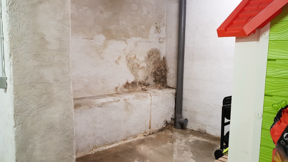 Infiltrations d'eau - Expertise humidité à La Roche-sur-Yon